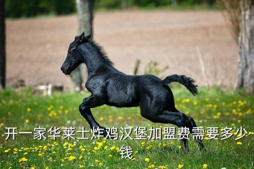 开一家华莱士炸鸡汉堡加盟费需要多少钱