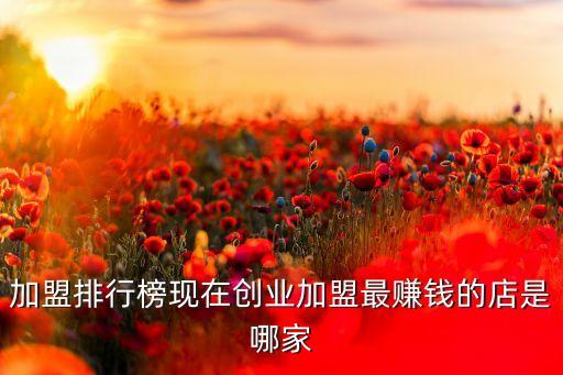 加盟排行榜现在创业加盟最赚钱的店是哪家