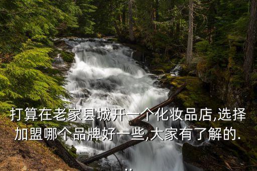 打算在老家县城开一个化妆品店,选择加盟哪个品牌好一些,大家有了解的...