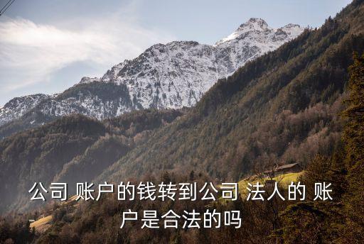 公司 账户的钱转到公司 法人的 账户是合法的吗