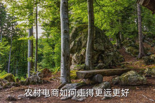 农村电商如何走得更远更好