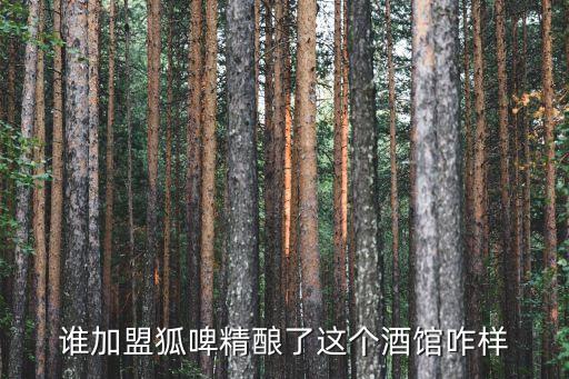 谁加盟狐啤精酿了这个酒馆咋样