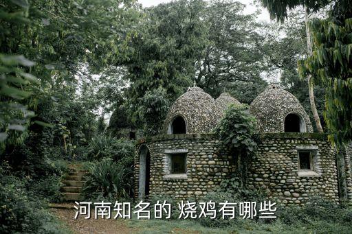 河南知名的 烧鸡有哪些