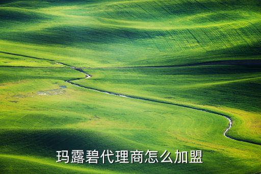 韩国美容加盟费用多少费用,加盟护肤品美容需要多少费用