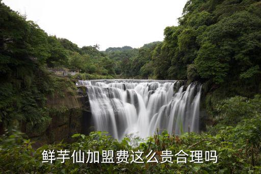 甜品行业加盟费多少,熊的甜品加盟费多少