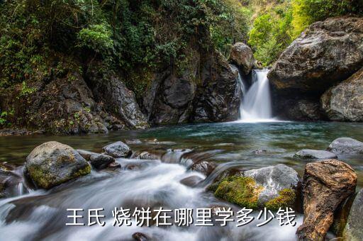王氏 烧饼在哪里学多少钱