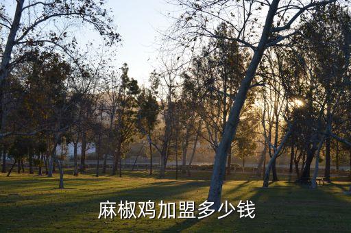  麻椒鸡加盟多少钱