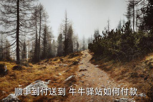 顺丰到付送到 牛牛驿站如何付款
