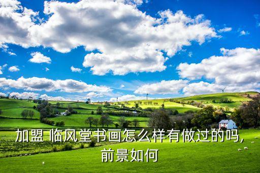 临风堂少儿美术加盟费,新沂临风书画少儿美术