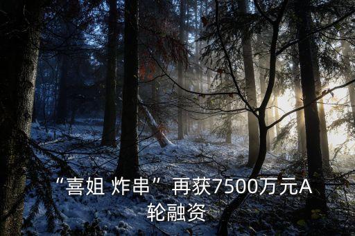 “喜姐 炸串”再获7500万元A 轮融资