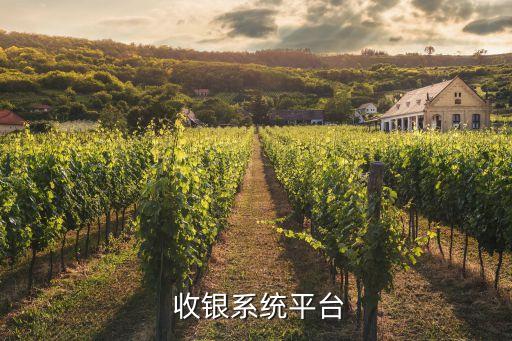 智能收银软件加盟费多少