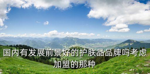 国内有发展前景好的护肤品品牌吗考虑加盟的那种