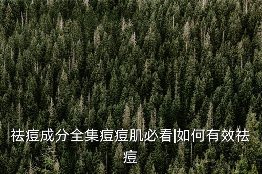 河南祛粉刺加盟费用和条件
