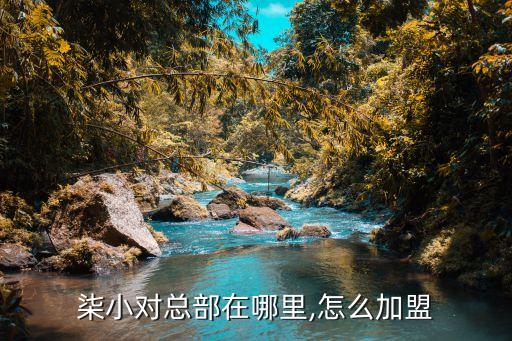 柒小对总部在哪里,怎么加盟