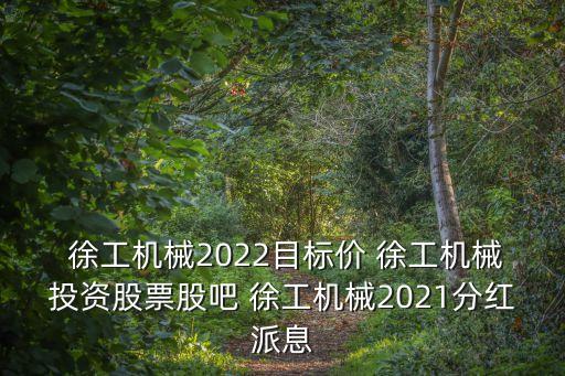  徐工机械2022目标价 徐工机械投资股票股吧 徐工机械2021分红派息