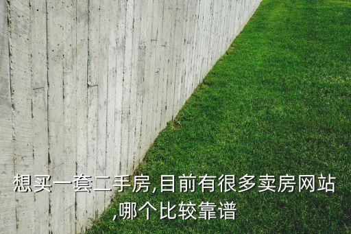 想买一套二手房,目前有很多卖房网站,哪个比较靠谱