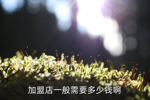 加盟店一般需要多少钱啊