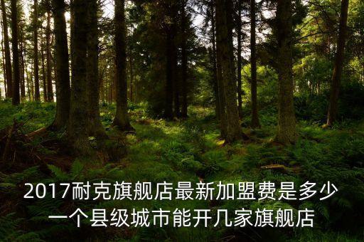 2017耐克旗舰店最新加盟费是多少一个县级城市能开几家旗舰店