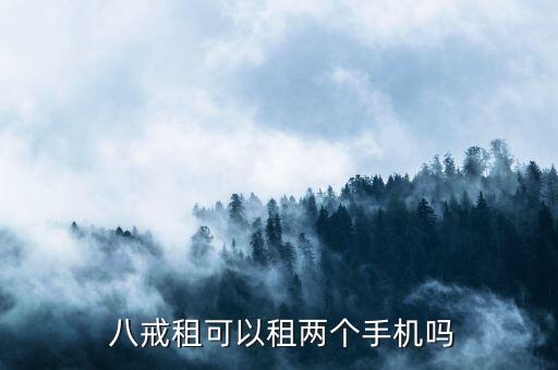  八戒租可以租两个手机吗