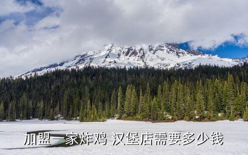 加盟一家炸鸡 汉堡店需要多少钱