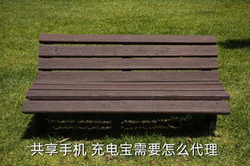 岳阳无线充电宝加盟费用