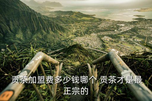  贡茶加盟费多少钱哪个 贡茶才是最正宗的