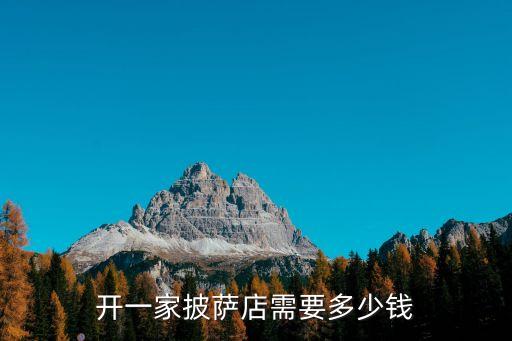 开一家披萨店需要多少钱