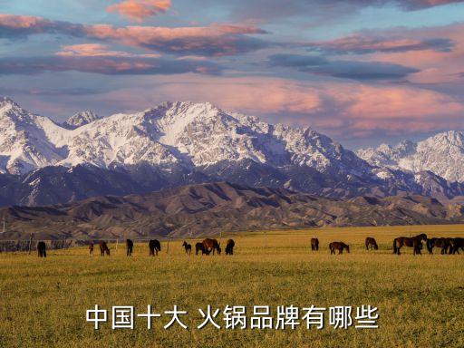 大龙燚火锅加盟费用,大龙焱加盟费用