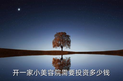 美容店项目加盟费用多少
