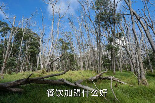 辽宁红腰鼓加盟费用,红腰鼓餐饮加盟电话