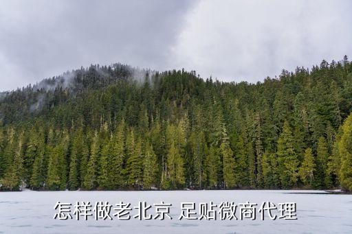 河南正规足贴加盟费用