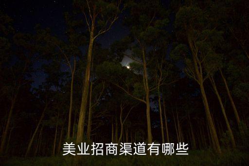  美业招商渠道有哪些