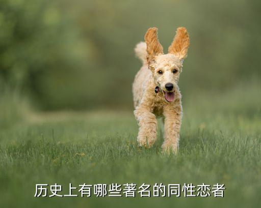 历史上有哪些著名的同性恋者