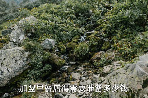 客包子加盟费,好礼客包子加盟费多少钱