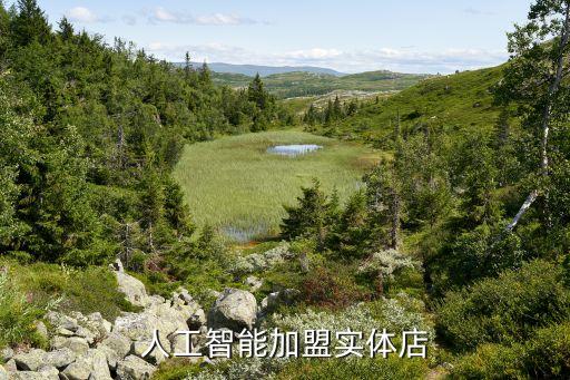 人工智能加盟实体店