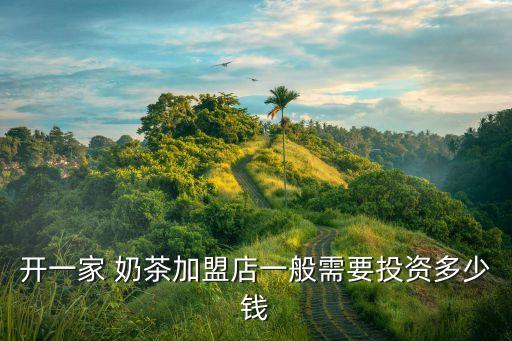 开一家 奶茶加盟店一般需要投资多少钱