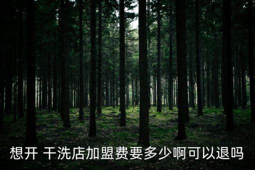 海尔先生干洗店加盟费用,海尔干洗店加盟怎么样