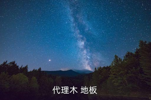 代理木 地板