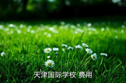 天津国际学校 费用