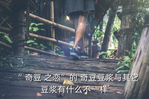 奇豆之恋加盟费,豆小七加盟费多少