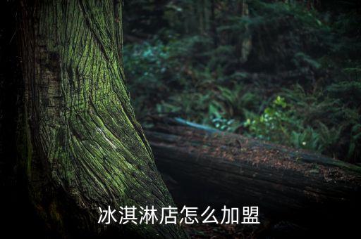 冰淇淋店怎么加盟