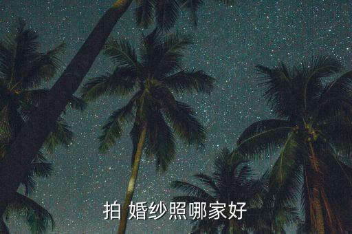 品牌婚纱摄影馆加盟费用,品牌主题婚纱摄影馆