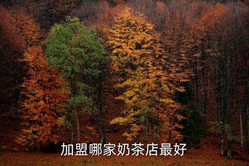 超芒了加盟费多少,老婆很芒加盟费多少钱