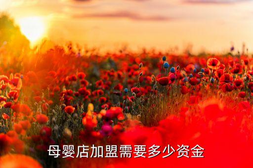 母婴店加盟需要多少资金
