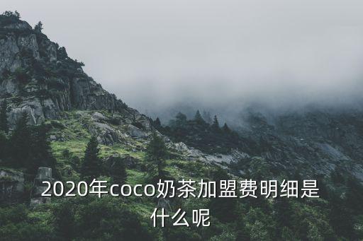 2020年coco奶茶加盟费明细是什么呢