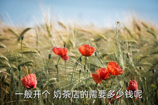 一般开个 奶茶店的需要多少钱呢