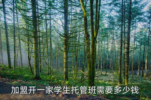 加盟开一家学生托管班需要多少钱