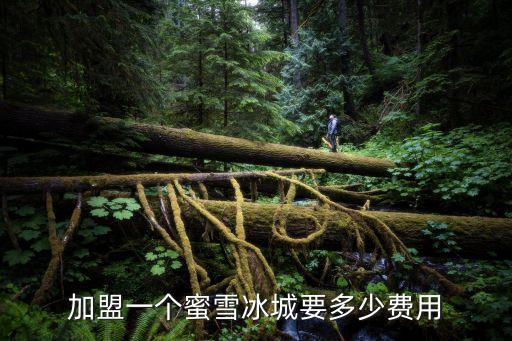 加盟一个蜜雪冰城要多少费用