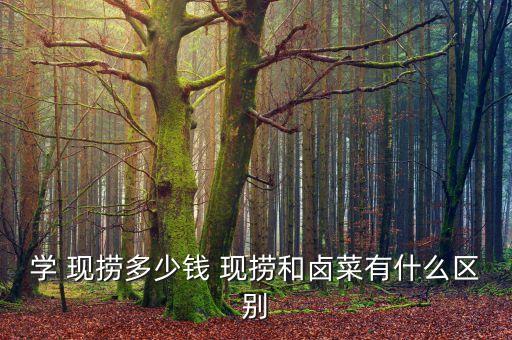 学 现捞多少钱 现捞和卤菜有什么区别