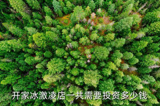 开家冰激凌店一共需要投资多少钱